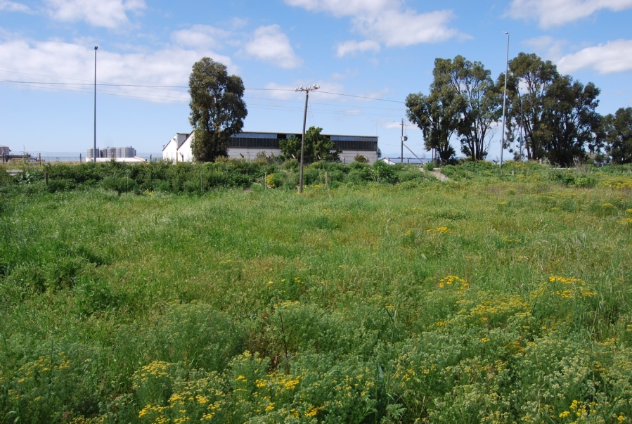 0 Bedroom Property for Sale in Harbour Lights Western Cape